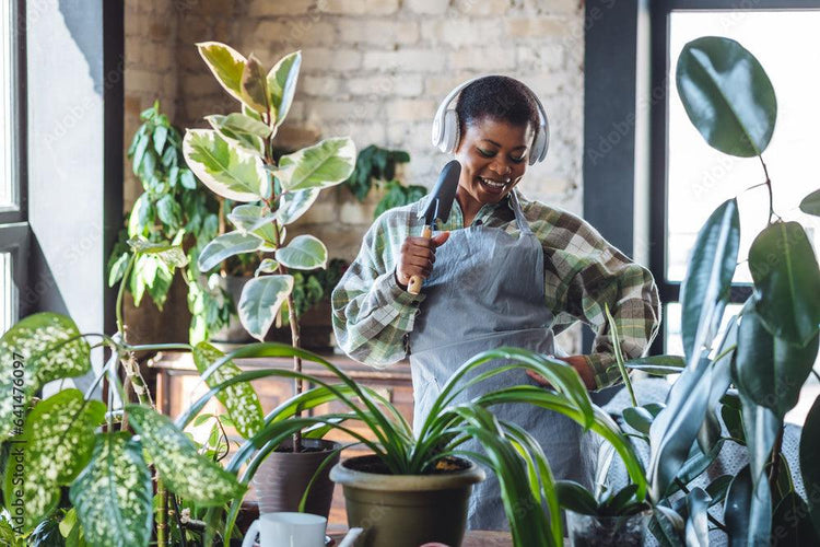 Indoor plants store | Canada