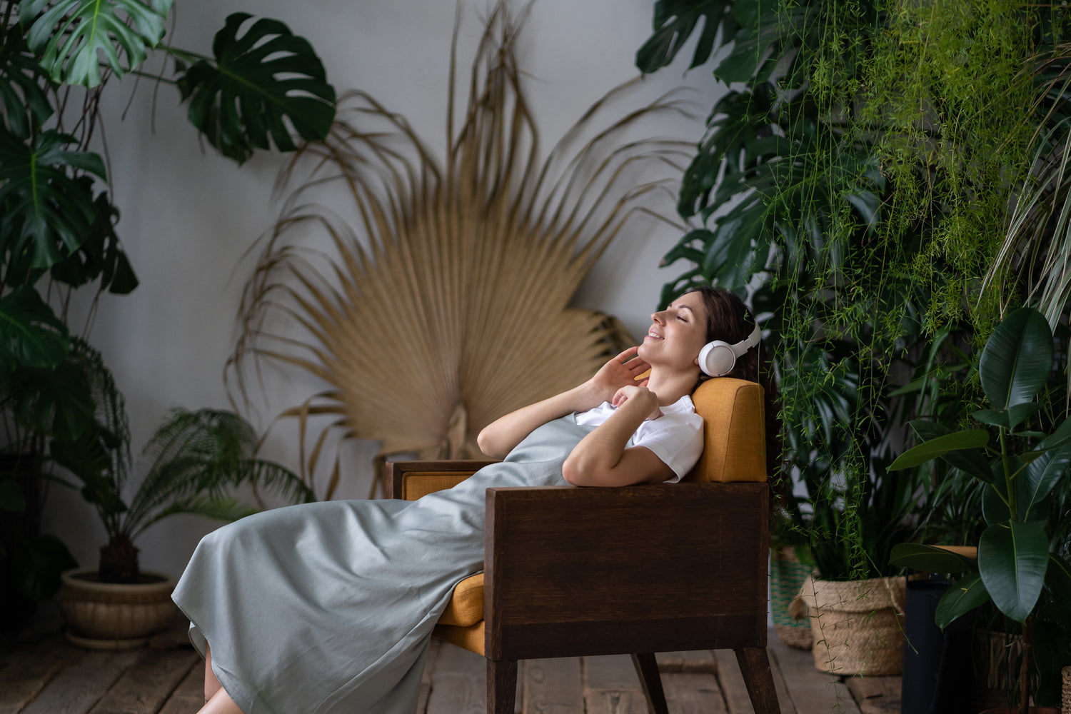 Tropical Plants Online Canada Plant StoreBest Anthurium Store Canada