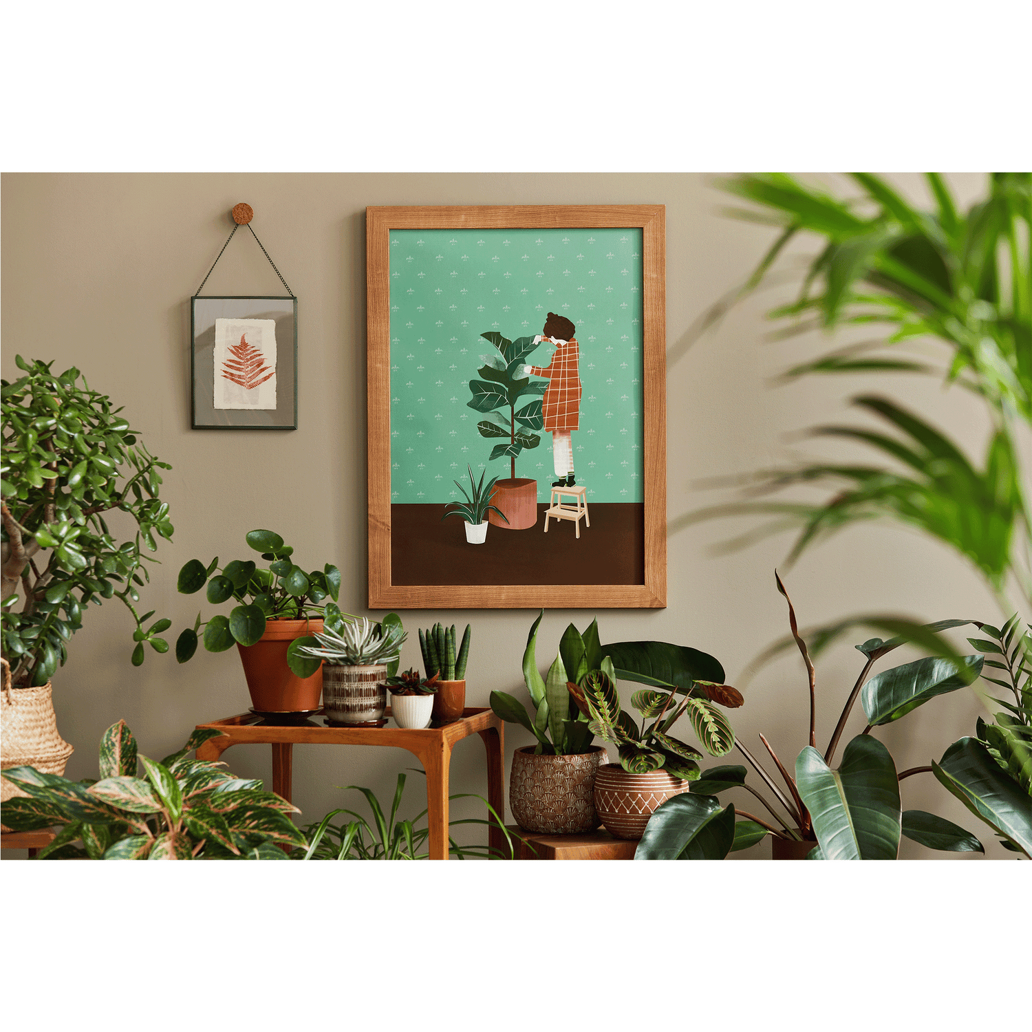 Tropical House Plants-protoleaf.ca plant store